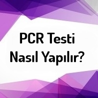 PCR Testi Nasıl Yapı...